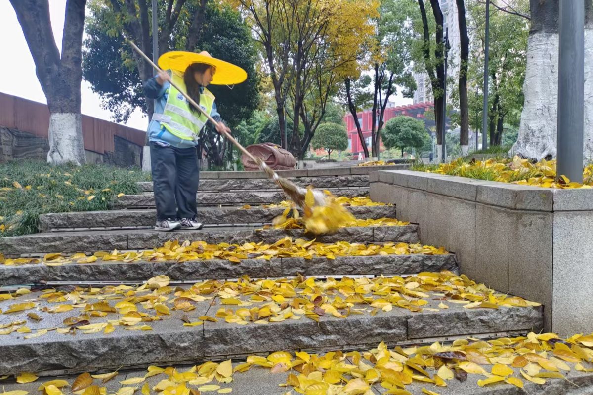 ͼΪ������Ա������ɨ��Ҷ����ű������ۺϹ�������ͼ