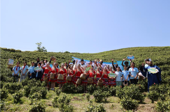 ͼΪ��ֳ��� ���췽��ͼ