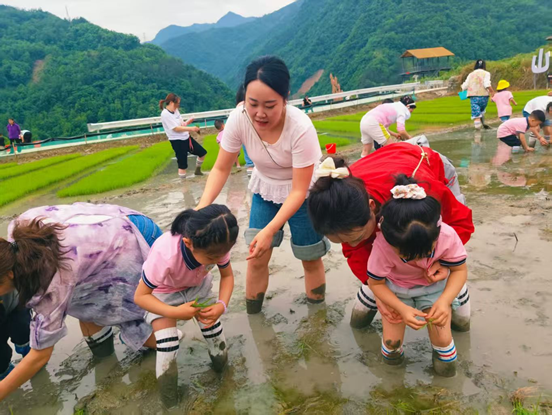 ͼΪ��ѧ��ֳ����߹��� ��ͼ