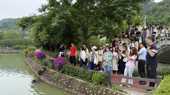 ͼΪ������������塣 Ҷ¶ ��