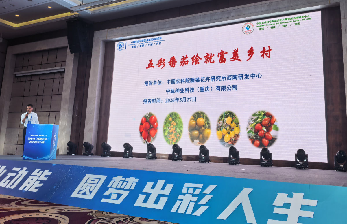 ͼΪ����Ӯδ����2026��ҵ�����������ڵ�����ҵ�������ֳ��� ͭ����ί��������ͼ