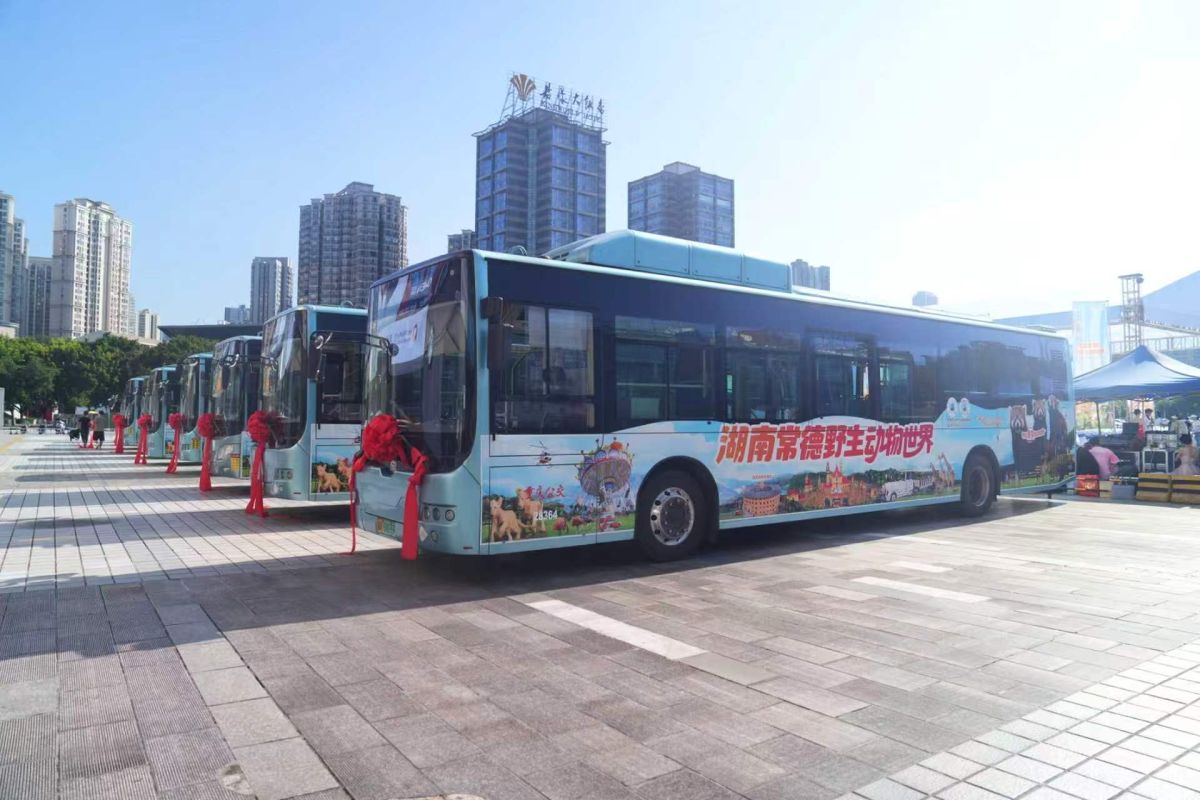 ͼΪ��ֳ������췽��ͼ