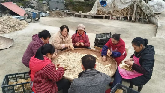 图为倍农把营养片装进虫袋。酉阳县融媒体中心 供图 图为倍农把营养片装进虫袋。酉阳县融媒体中心 供图