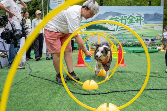 ͼΪ�����˶��ᡣ ���췽��ͼ