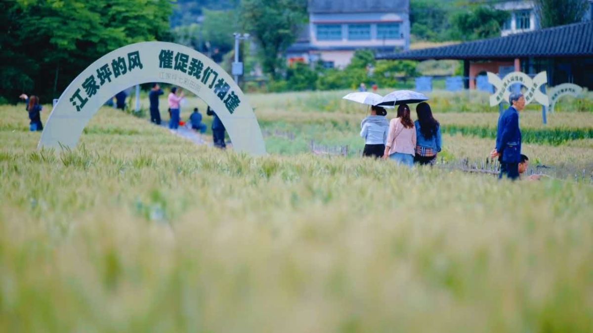 图为七塘镇艺术村落景色。简易 摄 图为七塘镇艺术村落景色。简易 摄