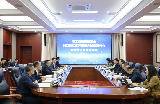 图为座谈会现场。农工党重庆市委会 供图 图为座谈会现场。农工党重庆市委会 供图
