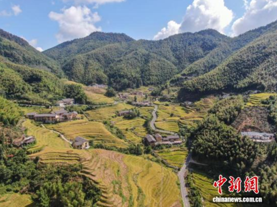 ��Ϫ��ذ��򣺡���ҩ�ġ��̾͡������ӡ�