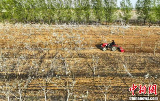 ��Ϫũ�ز�Ʒ���������й��������ǲ�����