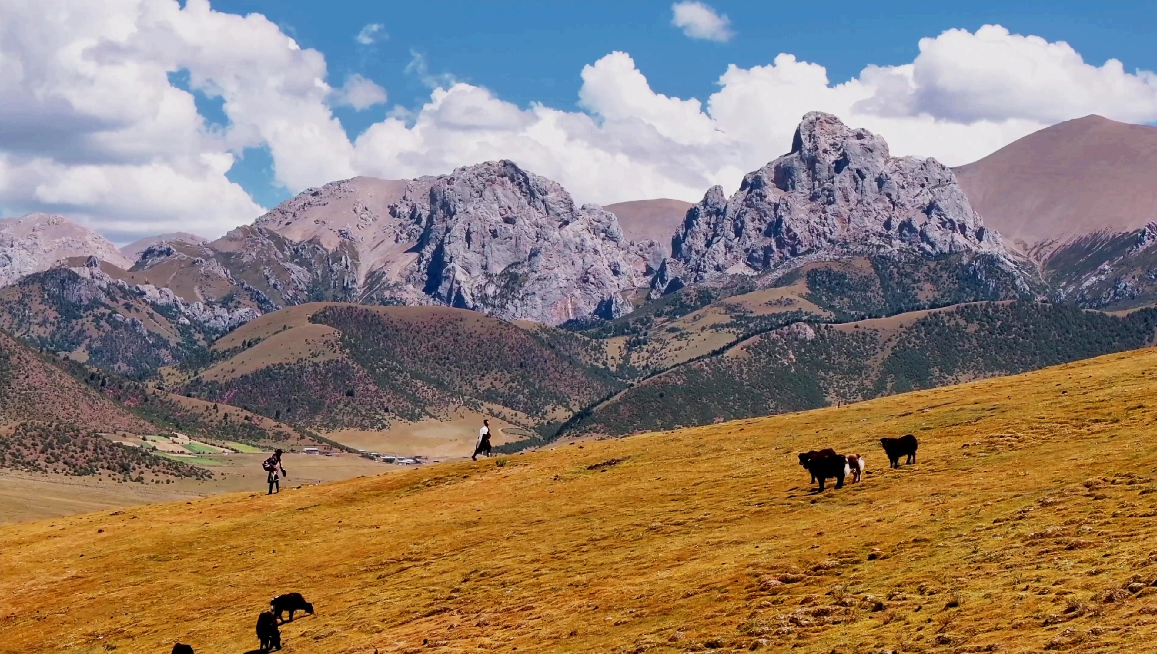 ��·֮�ϣ� ��Ӱ���ص��ļ������㸰һ������֮Լ