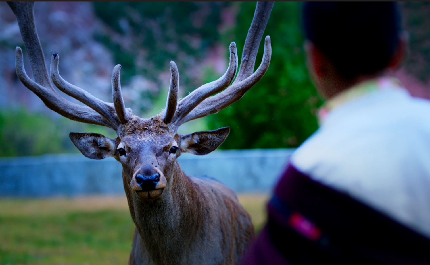 ��ɣ������¹�����ص��ļ������Խ40��������ػ�����̬����