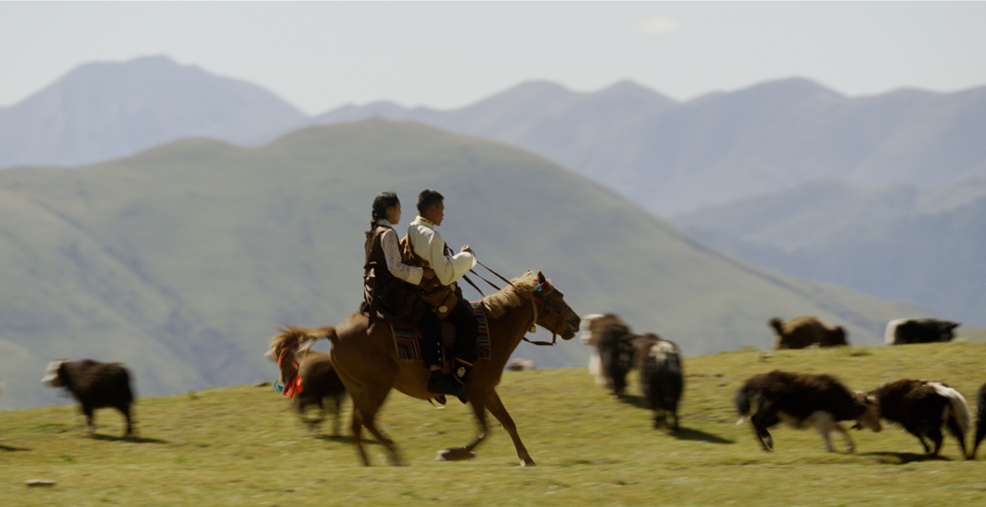 ������|ǳ̸���������塪�����ص��ļ����ۺ��