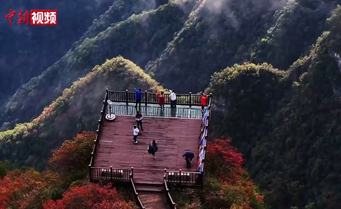 ������Ϫ�����־�Ⱦ Ͽ�ȷ��������