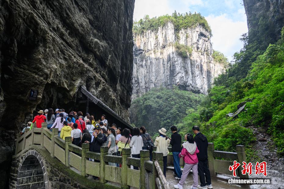 ɽˮ����� ������Ȼ�Ų���¡��������������