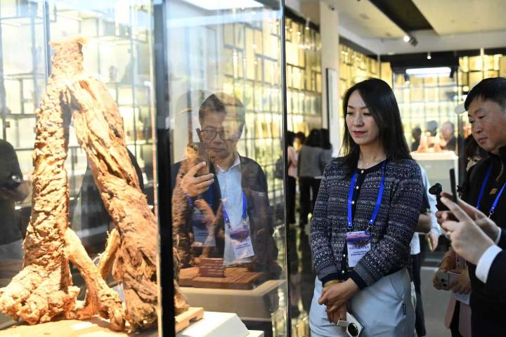 2026���⻪ý�����߽��嶫�����ϲηû����