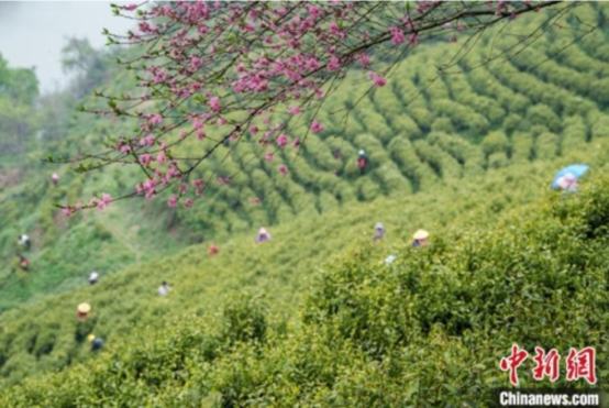 ����3����������Ȼ��Դ���Ƽ�